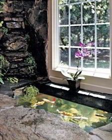 contoh kolam ikan bagus di lahan sempit contoh kolam ikan bagus di lahan sempit