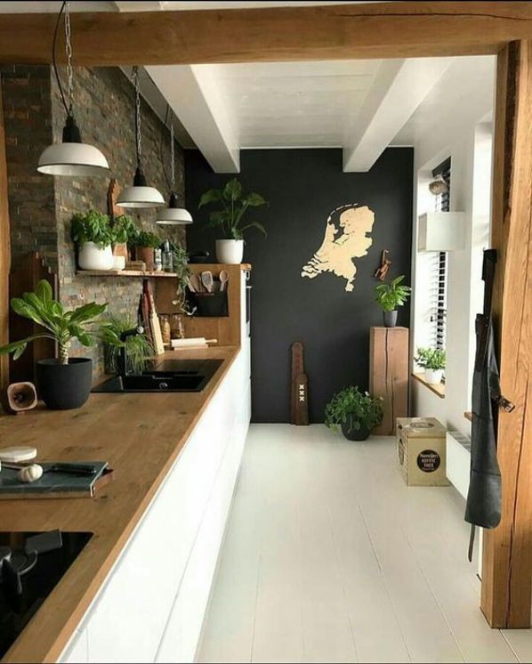 dekorasi tanaman hijau di dapur 2x3