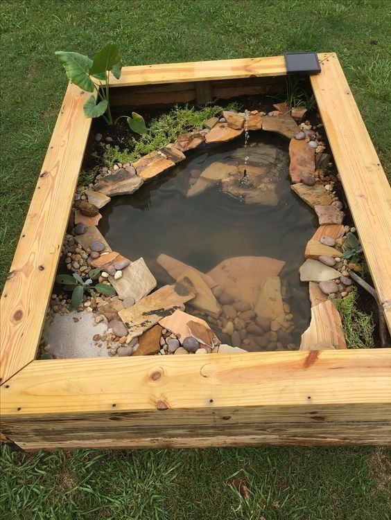 inspirasi kolam ikan hias sederhana terbaru inspirasi kolam ikan hias sederhana terbaru