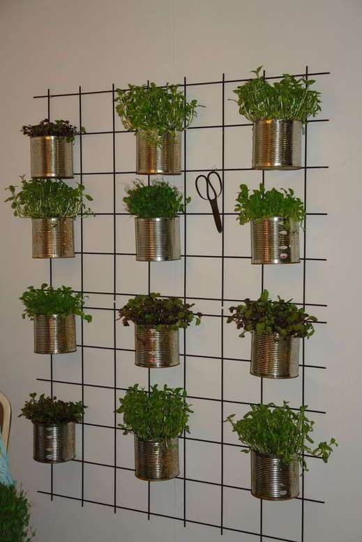 membuat vertikal garden dengan kaleng bekas