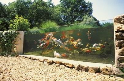√ 20 desain kolam ikan di lahan sempit, kreatif!