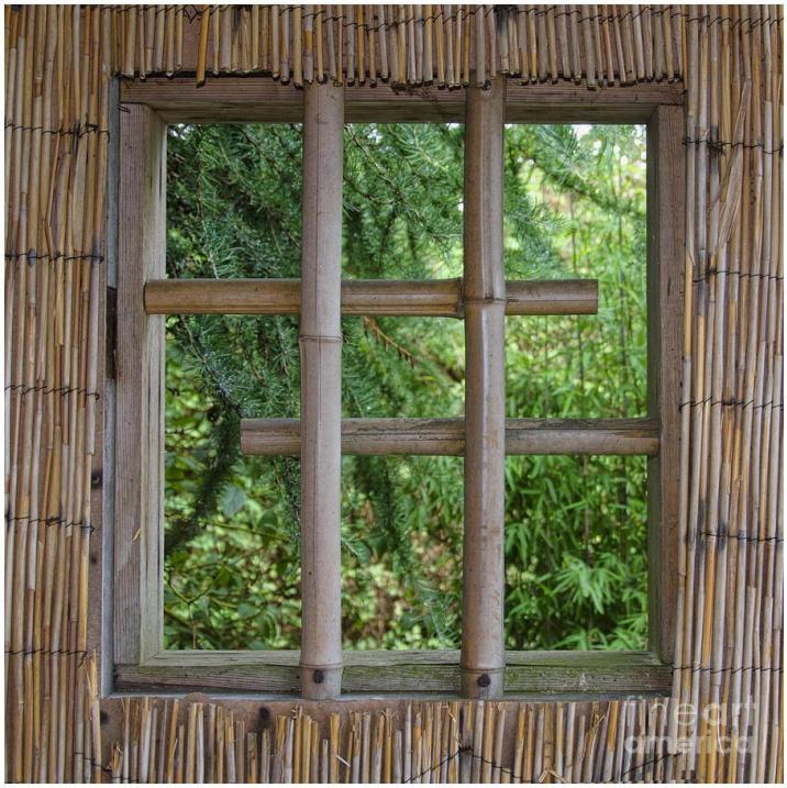 model teralis jendela bambu